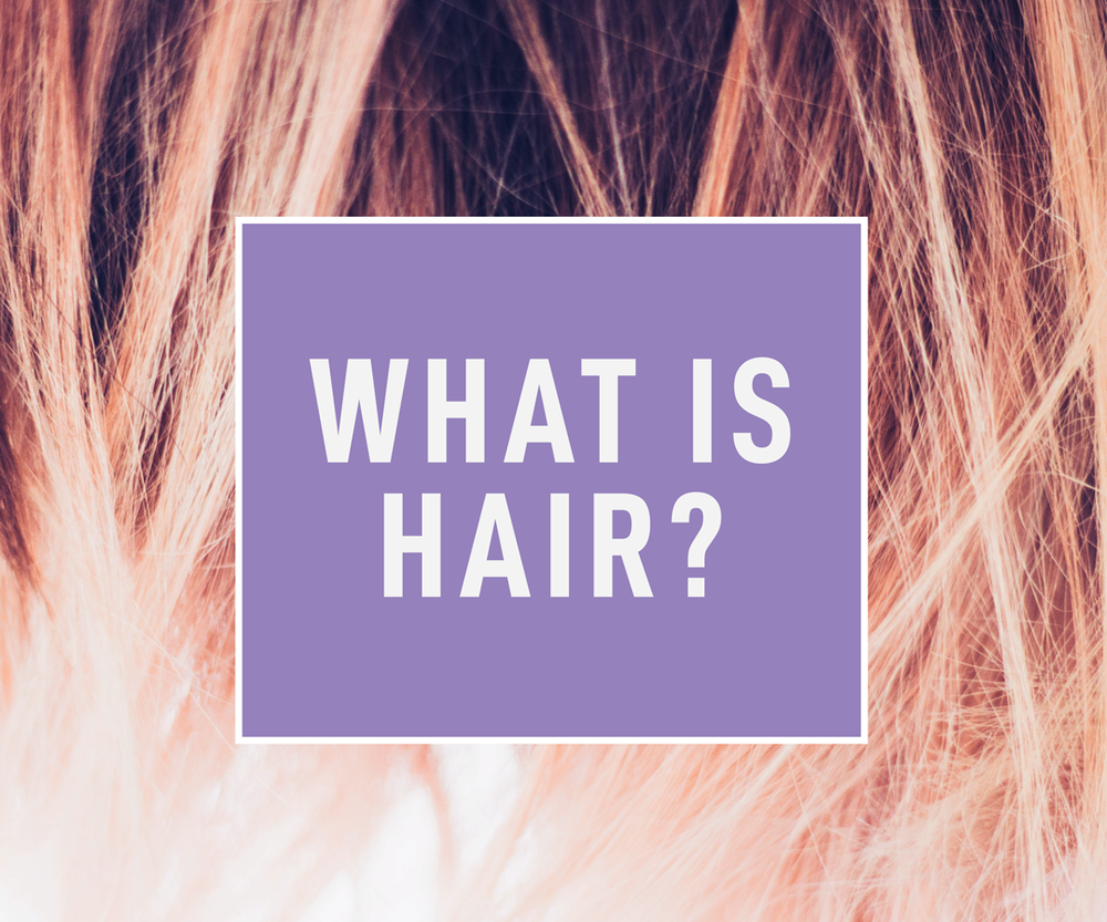 What Is Hair Made Of? | And How Exactly Does It Grow? | Complete Guide